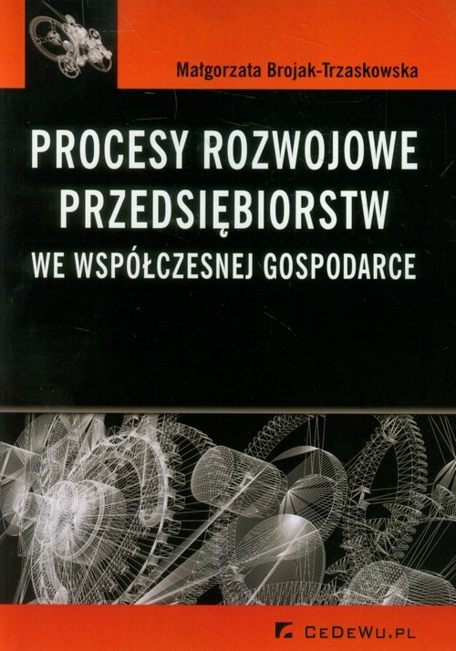 okładka Procesy rozwojowe przedsiębiorstw we współczesnej gospodarce książka | Brojak-Trzaskowska Małgorzata