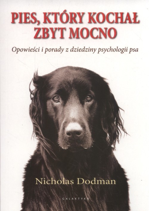 okładka Pies który kochał zbyt mocno książka | Dodman Nicholas