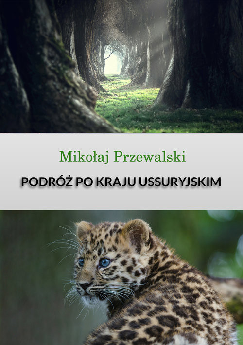 okładka Podróż po kraju Ussuryjskim książka | Przewalski Mikołaj