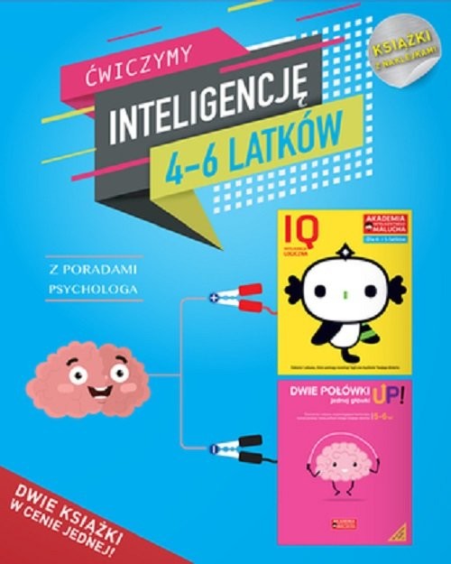 okładka IQ Inteligencja logiczna i rozwój mózgu dla 4-6 latków z poradami psychologa. Książki z naklejkami. książka