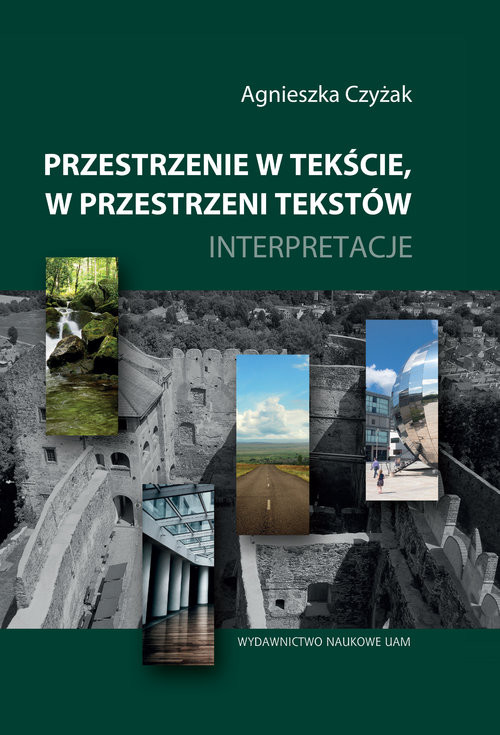 okładka Przestrzenie w tekście, w przestrzeni tekstów Interpretacje książka | Agnieszka Czyżak