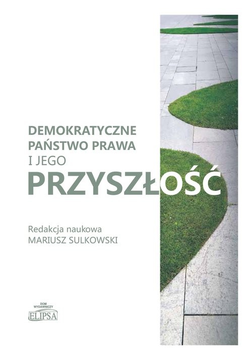 okładka Demokratyczne państwo prawa i jego przyszłość książka