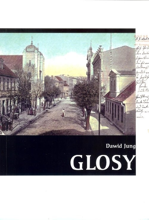 okładka Glosy książka | Jung Dawid