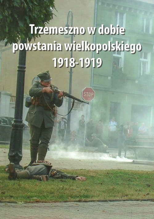 okładka Trzemeszno w dobie powstania wielkopolskiego 1918-1919 książka