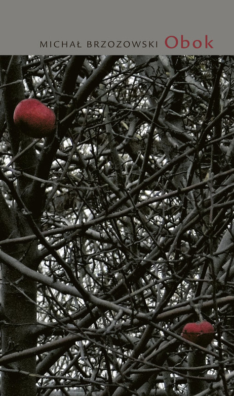 okładka Obok książka | Brzozowski Michał