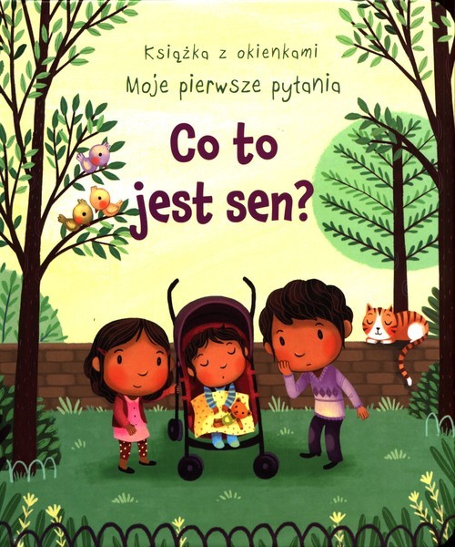 okładka Książka z okienkami Moje pierwsze pytania Co to jest sen? książka | Daynes Katie