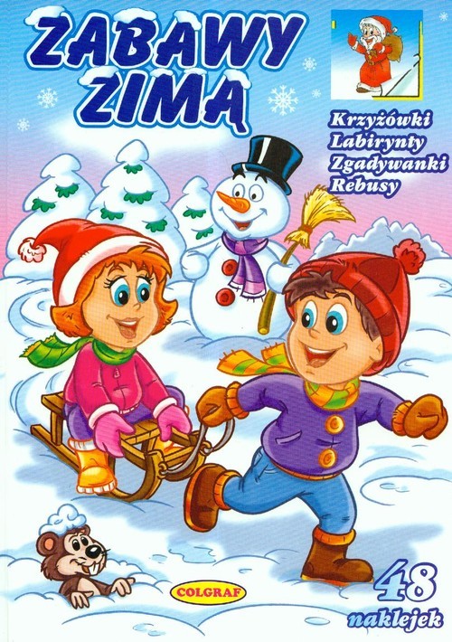okładka Zabawy zimą książka