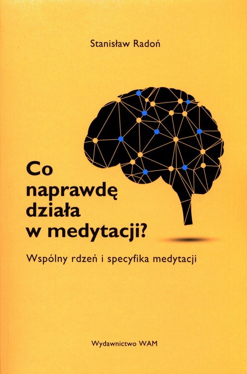 okładka Co naprawdę działa w medytacji? Wspólny rdzeń i specyfika medytacji książka | Radoń Stanisław