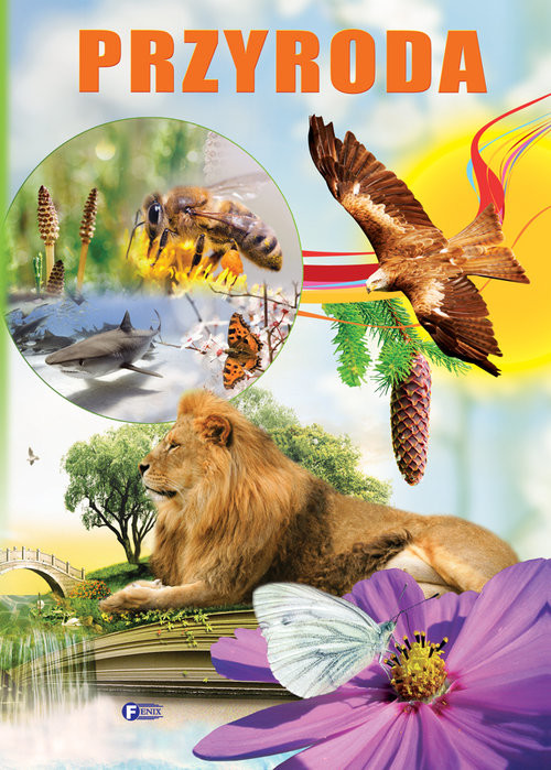 okładka Przyroda książka