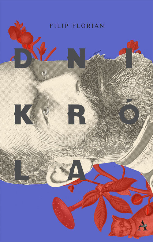 okładka Dni króla książka | Florian Filip