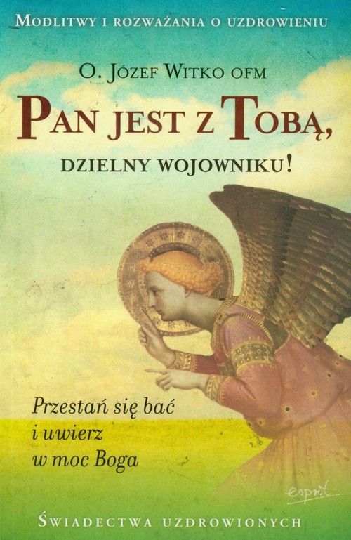 okładka Pan jest z Tobą dzielny wojowniku Przestań się bać i uwierz w moc Boga książka | Józef Witko