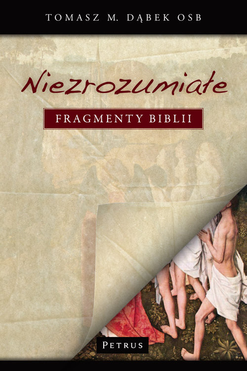 okładka Niezrozumiałe fragmenty Biblii książka | Dąbek Tomasz