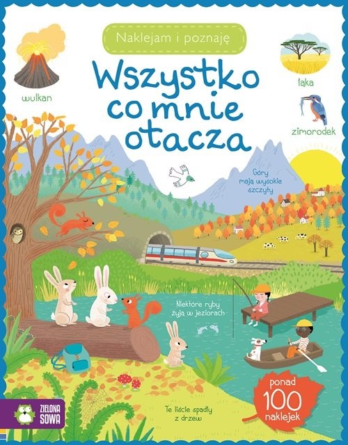 okładka Wszystko co mnie otacza Naklejam i poznaję książka | Praca Zbiorowa