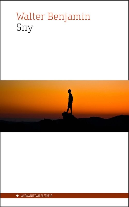 okładka Sny książka | Benjamin Walter