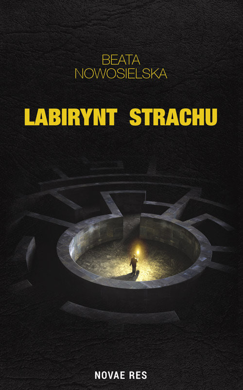 okładka Labirynt strachu książka | Beata Nowosielska