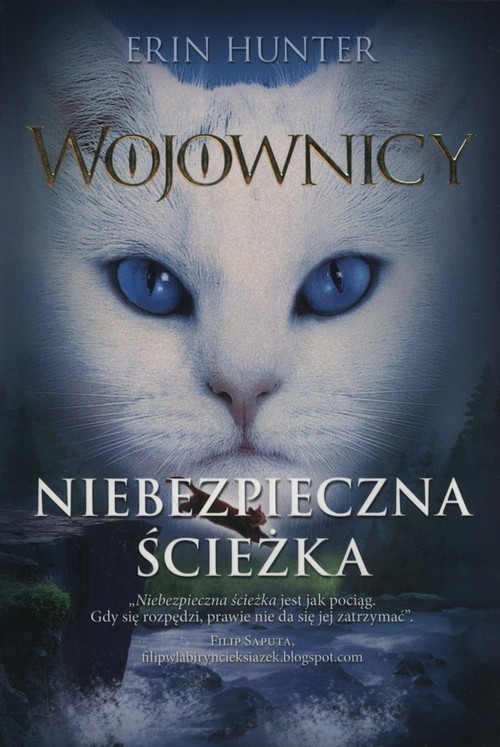 okładka Niebezpieczna ścieżka Wojownicy Tom 5 książka | Erin Hunter