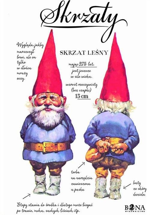 okładka Skrzaty książka | Huygen Wil