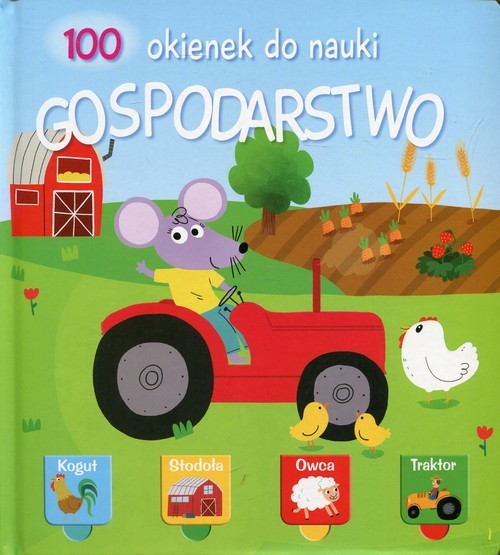 okładka 100 okienek do nauki Gospodarstwo książka