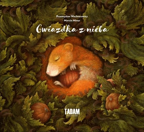 okładka Gwiazdka z nieba książka | Przemysław Wechterowicz