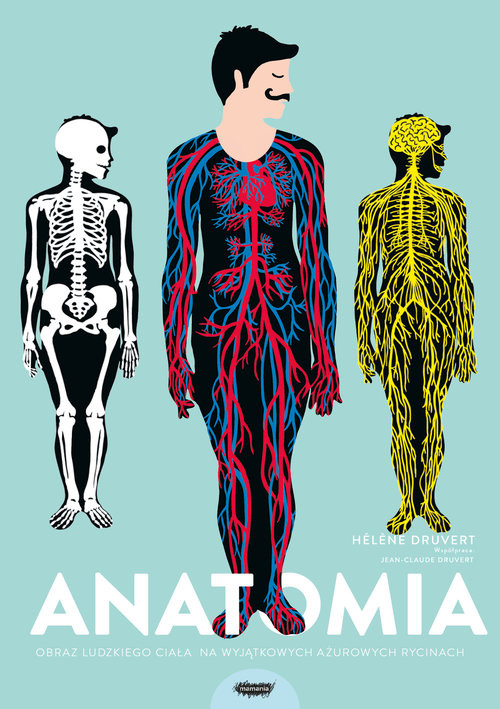 okładka Anatomia Obraz ludzkiego ciała na wyjątkowych ażurowych rycinach książka | Druvert Helene