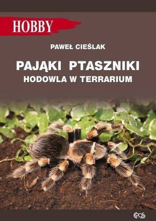 okładka Pająki ptaszniki w terrarium książka | Marcin Jan Gorazdowski