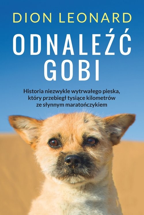 okładka Odnaleźć Gobi książka | Dion Leonard