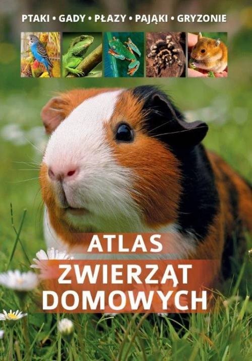 okładka Atlas zwierząt domowych książka | Uglorz Manfred