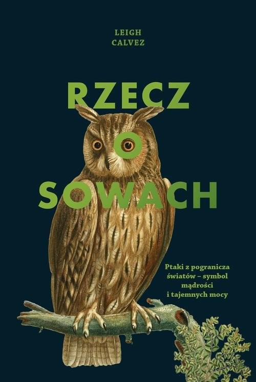 okładka Rzecz o sowach książka | Leigh Calvez