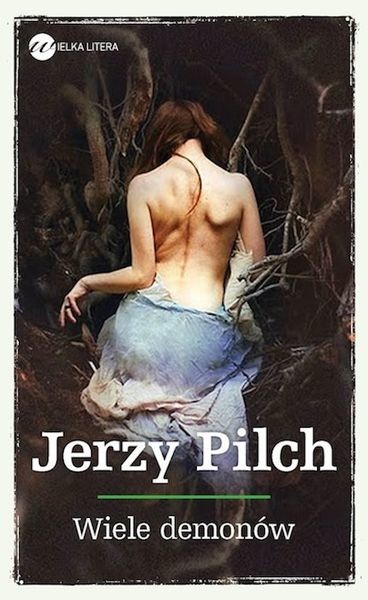 okładka Wiele demonów książka | Jerzy Pilch