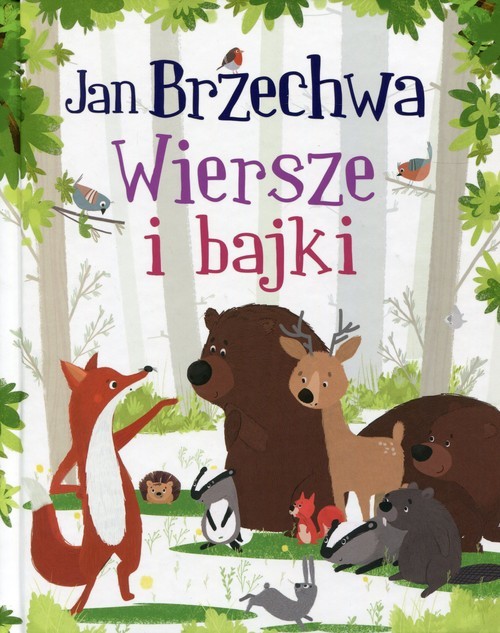okładka Wiersze i bajki książka | Jan Brzechwa