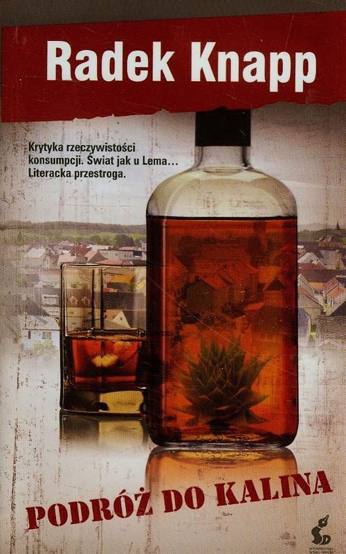 okładka Podróż do Kalina książka | Radek Knapp