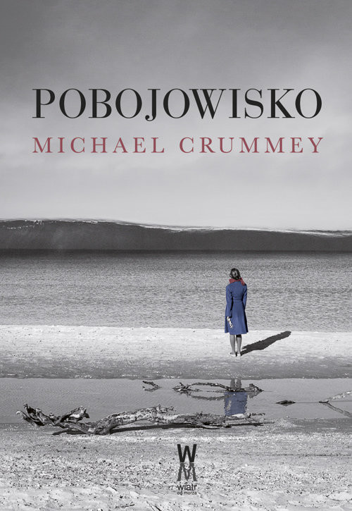 okładka Pobojowisko książka | Michael Crummey