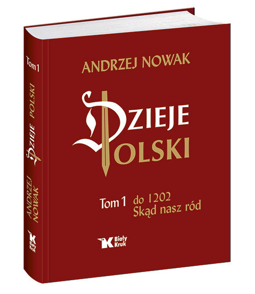 okładka Dzieje Polski Tom 1 Skąd nasz ród książka | Andrzej Nowak