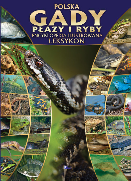 okładka Polska gady płazy i ryby Encyklopedia ilustrowana książka