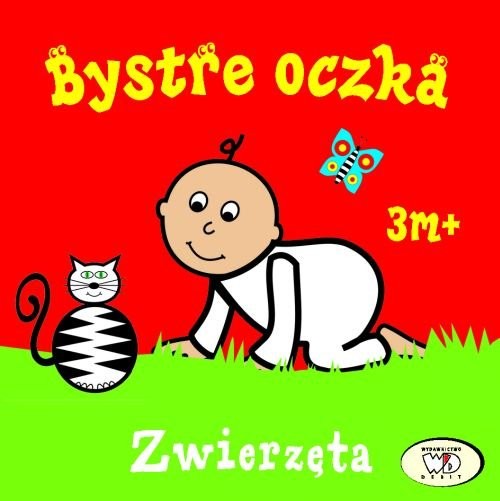okładka Bystre oczka Zwierzęta książka | Joanna Homel, Iwona Janoszek