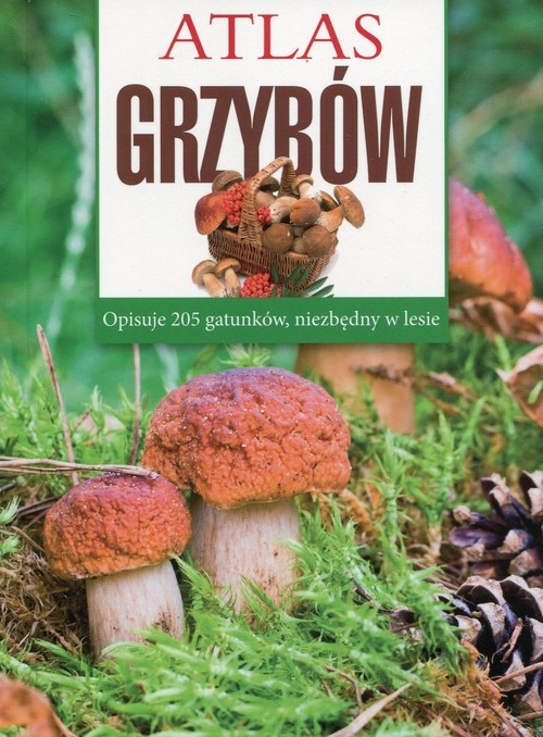 okładka Atlas grzybów książka | Sokół Sławomir