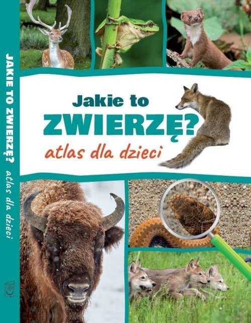 okładka Jakie to zwierzę? Atlas dla dzieci książka | Kamila Twardowska, Jacek Twardowski
