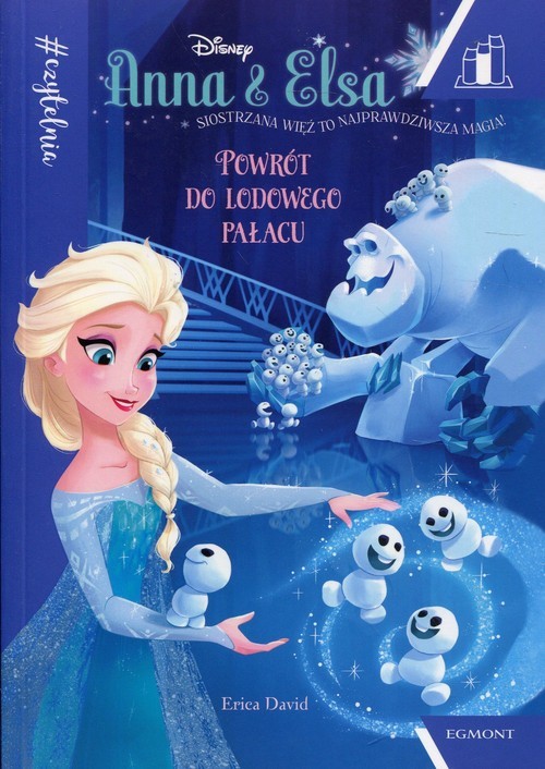 okładka Anna i Elsa Powrót do Lodowego Pałacu Seria niebieska książka | Erica David