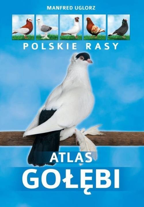 okładka Atlas gołębi Polskie rasy książka | Uglorz Manfred