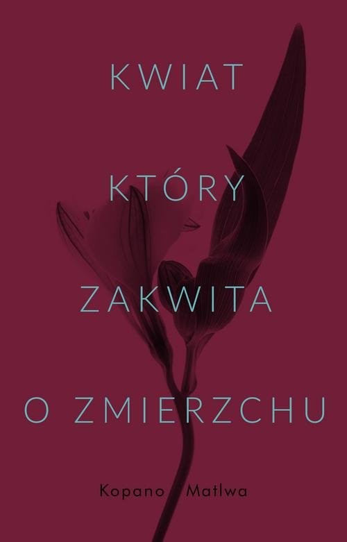 okładka Kwiat który zakwita o zmierzchu książka | Matiwa Kopano