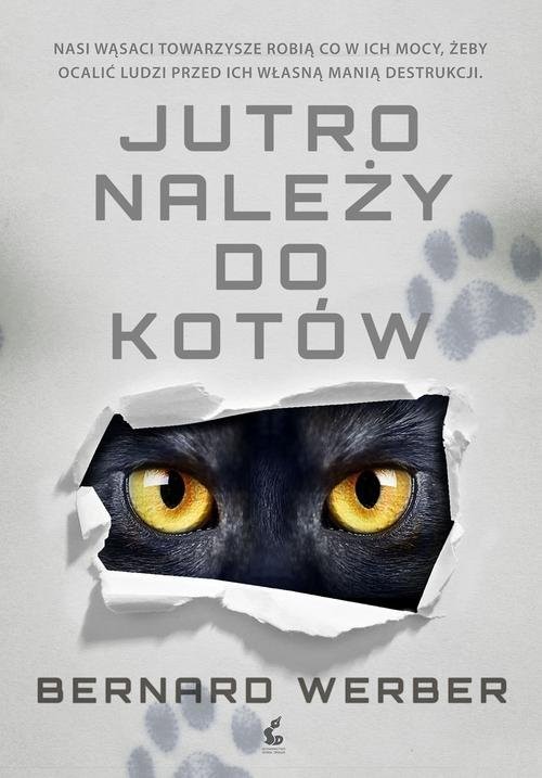 okładka Jutro należy do kotów książka | Bernard Werber