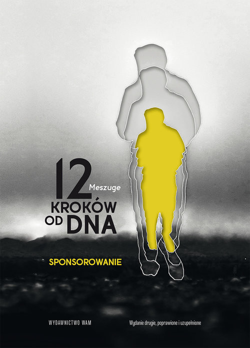 okładka 12 kroków od dna Sponsorowanie książka | Meszuge