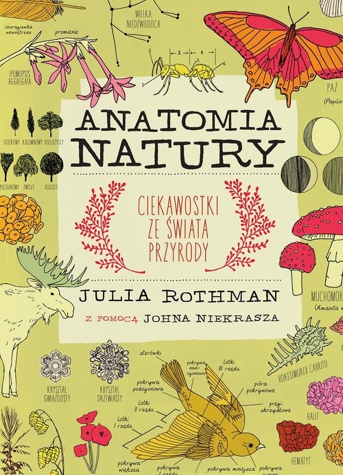 okładka Anatomia natury książka | Rothman Julia