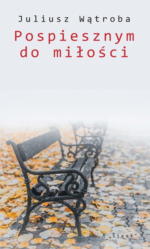 okładka Pospiesznym do miłości książka | Wątroba Juliusz