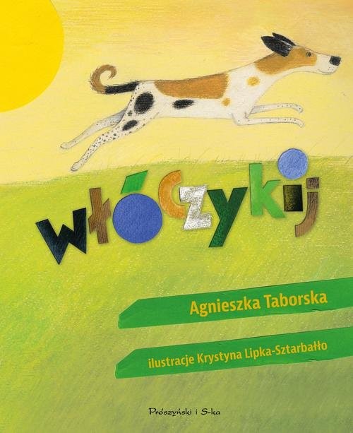 okładka Włóczykij książka | Agnieszka Taborska