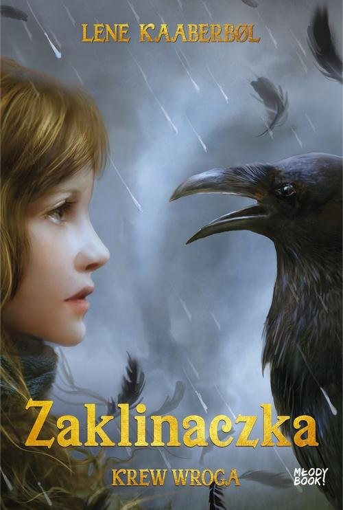 okładka Zaklinaczka Krew wroga książka | Lene Kaaberbol