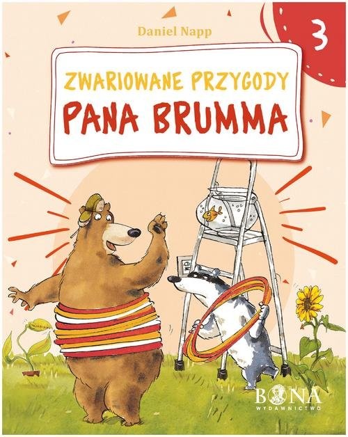 okładka Zwariowane przygody Pana Brumma 3 książka | Napp Daniel