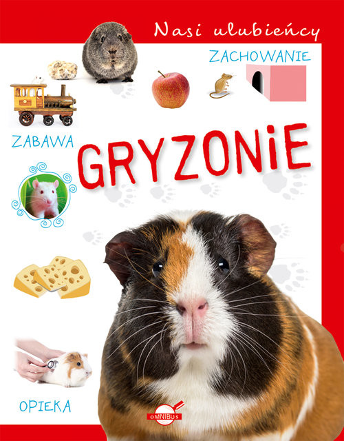 okładka Nasi ulubieńcy Gryzonie książka