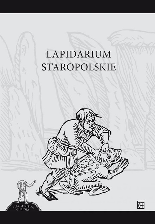 okładka Lapidarium Staropolskie książka