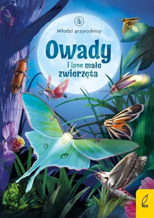 okładka Młodzi przyrodnicy Owady i inne małe zwierzęta książka | Emily Bone
